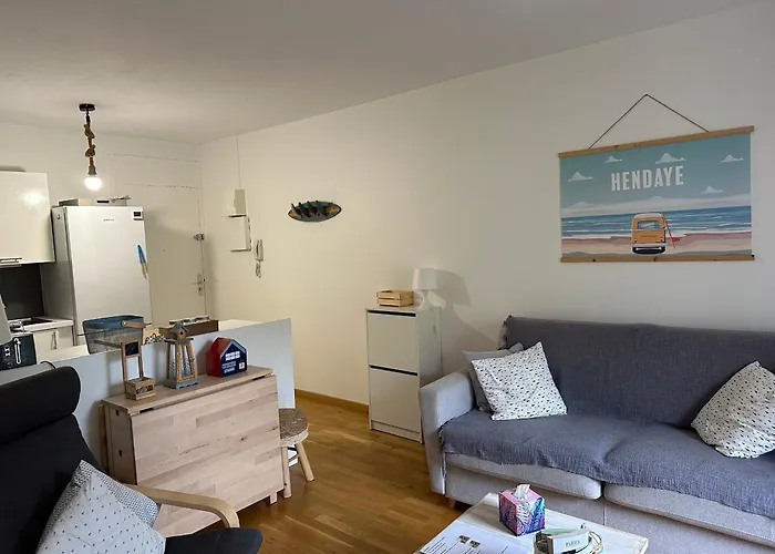 Appartement Moderne A Hendaye, Proche Commerces, Salon Lumineux, Terrasse Et Parking Prive - Fr-1-239-1019