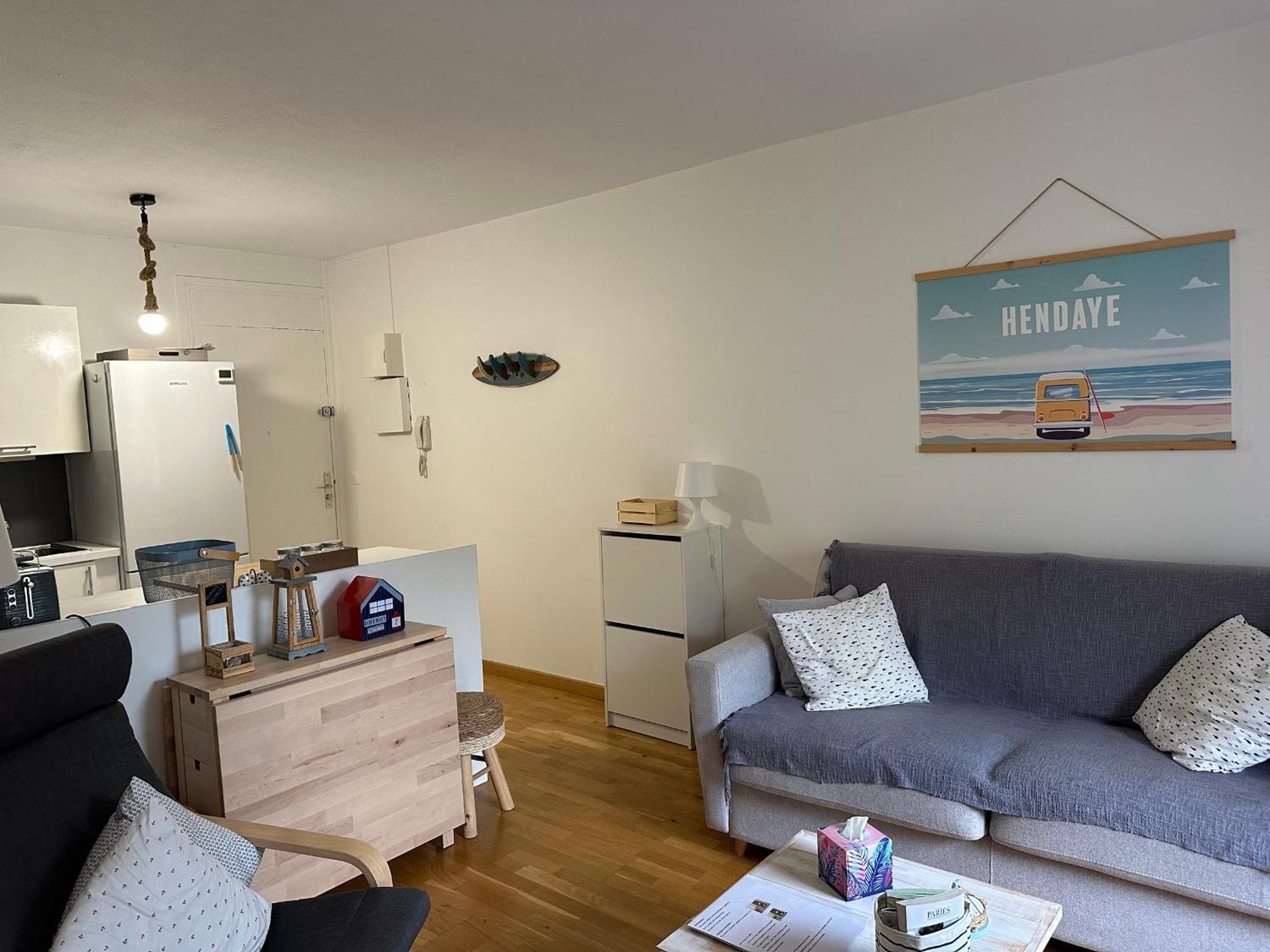 Moderne A Hendaye, Proche Commerces, Salon Lumineux, Terrasse Et Parking Prive - Fr-1-239-1019