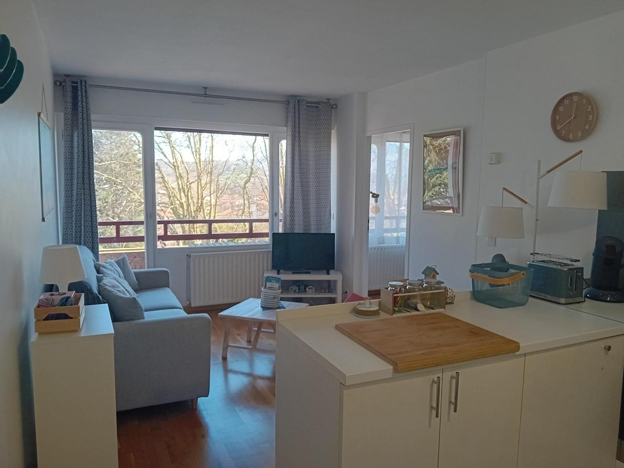 Moderne A Hendaye, Proche Commerces, Salon Lumineux, Terrasse Et Parking Prive - Fr-1-239-1019 *